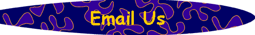  Email Us 
