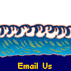  Email Us 