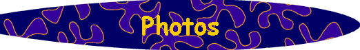  Photos 